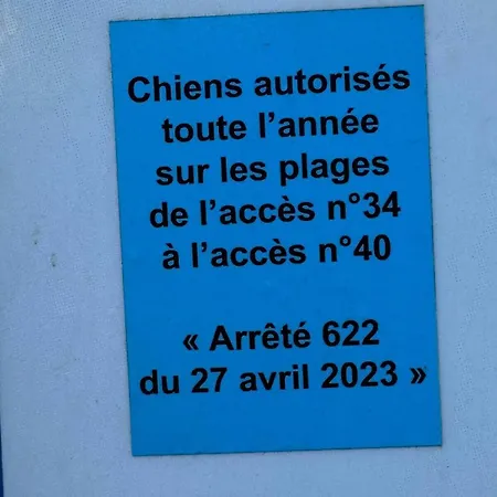 Mon Rooftop A La Frontignan