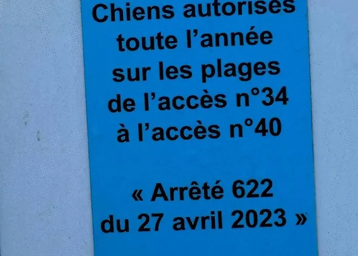 Mon Rooftop A La Фронтиньян